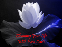Blooming Your Life