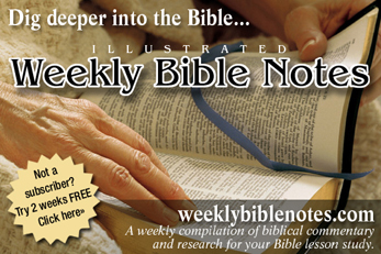 Weekly Bible Notes