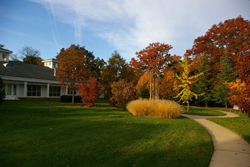 Lynn House
