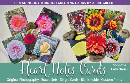 Heart Notes Cards